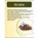 Otvarchik pei Food flax seeds Altai - Buy Online on GoSupps.com
