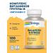 Solaray B-stress with vitamin C Balance B-Stress 100 capsules