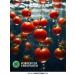 Belarusian products Tomato juice "ABC" 1 liter x 12 pcs - Buy Online on GoSupps.com