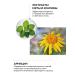 Green Mama Sweet IRIS Sweeter Deodorant from sweat and smell 100 ml - Buy Online on GoSupps.com