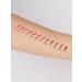 LavelleCollection Lip pencil nude tone16 Natural beige - Buy Online on GoSupps.com