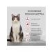 SECRET FOR PETS Dry food for cat Premium lamb 2 kg - Buy Online on GoSupps.com