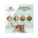 SECRET FOR PETS Dry food for cat Premium lamb 2 kg - Buy Online on GoSupps.com
