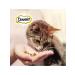 DREAMIES Cottage Terrier for cats cheese 140 g - Buy Online on GoSupps.com