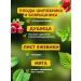 Herbs of the Crimean Mountains Tea soothing herbal anti -stress is our tea 90g - Buy Online on GoSupps.com