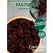 Nut brand Raspberry dried berries without additives