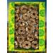 TROFIMOV Kozinaki from the sunflower honey and arachis afternoon gallooner 500g - Buy Online on GoSupps.com