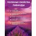 Lavender herbal tea in the Bank of Herbal Nash our tea 80g - Buy Online on GoSupps.com