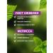 Lavender herbal tea in the Bank of Herbal Nash our tea 80g - Buy Online on GoSupps.com
