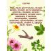 Biolith Facial cream Altai Maral 50 ml 3 pcs - Buy Online on GoSupps.com