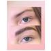 GEA COSMETICS Eye Brows 5D eyebrow - Buy Online on GoSupps.com