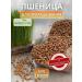 GREENOVITA Wheat seeds for germination