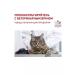 ROYAL CANIN Dry food for cats Neuthed Satiety Balance 8 kg sterile - Buy Online on GoSupps.com