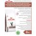 ROYAL CANIN Cat food for dry gastroinsal GastroinTestinal 2kg