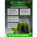 Ten Over Ten Chlorophyll is liquid food - Buy Online on GoSupps.com