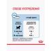 ROYAL CANIN Dry feed Medium Puppy for medium breeds 3 kg - Buy Online on GoSupps.com