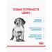 ROYAL CANIN Dry feed Medium Puppy for medium breeds 3 kg - Buy Online on GoSupps.com