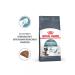 ROYAL CANIN Hairball Care 2 kg - Buy Online on GoSupps.com