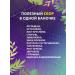 Evolution of Nature Renal concentrate for kidneys - Buy Online on GoSupps.com