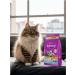 WHISKAS Dry food for sterilized cats pillows chicken 5kg - Buy Online on GoSupps.com