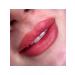 Face Company Face raspberry pigment for permanent lip makeup - Buy Online on GoSupps.com