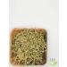 ON THE GRASS Yarrow herbal gathering 250g - Buy Online on GoSupps.com