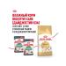 ROYAL CANIN Feed Royal Kanin Sphinx Edalta 10 kg - Buy Online on GoSupps.com
