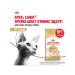 ROYAL CANIN Feed Royal Kanin Sphinx Edalta 10 kg - Buy Online on GoSupps.com