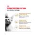 ROYAL CANIN Feed Royal Kanin Sphinx Edalta 10 kg - Buy Online on GoSupps.com