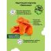 Zelenika Vegetable chips healthy snack set 6 pcs - Buy Online on GoSupps.com
