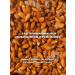 WORKSHOP 39 Granola without sugar and gluten bakers cinnamon and salt 300 g - Buy Online on GoSupps.com