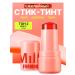 Amurka Blush jelly steel tint Milk 02