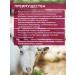 SKYAGRO Vitamins for goats and sheep betacoplyus with phyto antibiotics - Buy Online on GoSupps.com