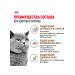 ROYAL CANIN Senior Ageing Sterilized 12+ Dry food for cats 2 kg - Buy Online on GoSupps.com