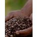 dallmayr Coffee in grains Dalmar Crema d'Ooro Arabica 1 kg - Buy Online on GoSupps.com