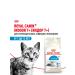 ROYAL CANIN Indoor 7+ Dry food for aging cats 1.5 kg indor - Buy Online on GoSupps.com