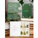 Darman Gift set Tea Book of grass and flowers - Buy Online on GoSupps.com