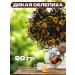 Cinnamon tea Tea wild sea buckthorn 90 g