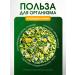 brouliq Herbal collection of grass pancreas - Buy Online on GoSupps.com