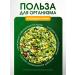 brouliq Herbal collection of grass at pressure - Buy Online on GoSupps.com