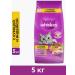 WHISKAS Dry food for cats pillows chicken and turkey 5kg