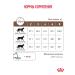Royal Canin Dry food for cats GastroinTestinal Therapeutic 350 g - Buy Online on GoSupps.com