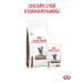Royal Canin Dry food for cats GastroinTestinal Therapeutic 350 g - Buy Online on GoSupps.com