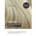 Shampoo and airplane air conditioner with 2l keratin - Buy Online on GoSupps.com