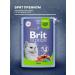 Brit Wet feed Premium for cats lambs in jelly 85 g 4 pcs - Buy Online on GoSupps.com
