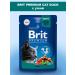 Brit Wet feed Premium for cats duck in sauce 85 g 4 pcs - Buy Online on GoSupps.com