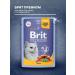 Brit Wet feed Premium for cats tuna in jelly 85 g 4 pcs - Buy Online on GoSupps.com