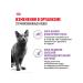 ROYAL CANIN Wet sterilated feed sterilized cats sauce 85 g 10pcs - Buy Online on GoSupps.com