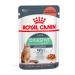 ROYAL CANIN Wet digest car for cats in sauce 85 g 10 pcs - Buy Online on GoSupps.com