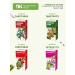 Altai cedar Herbal tea healthy stomach with althe 4 packs - Buy Online on GoSupps.com